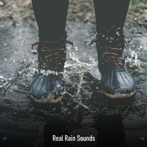 Rainful Study Time