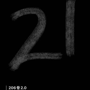 二零六骨2.0