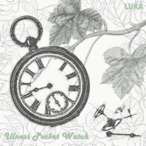 Illness Pockect Watch