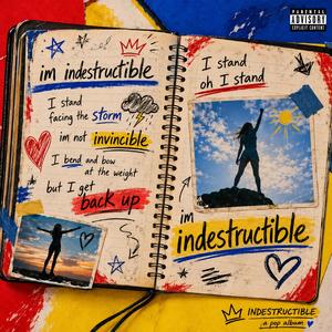 Indestructible