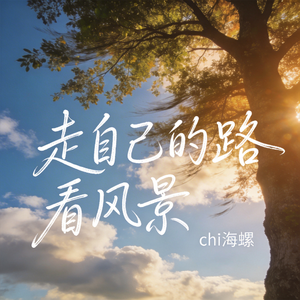 走自己的路看风景