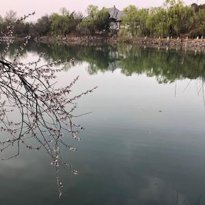 《春江花月夜》词曲唱 赵鑫