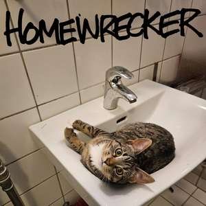 Homewrecker