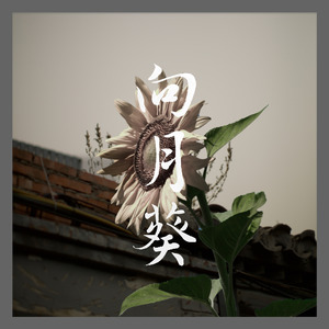 向月葵instrumental