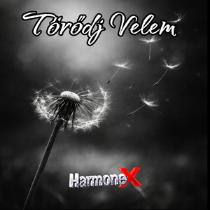 Törődj Velem