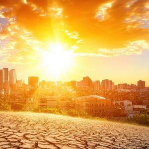 Canicule