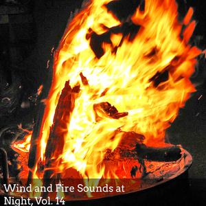 Relaxing Camp Fire Motion