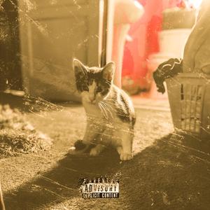 Trilla Zilla 2 (Interlude)