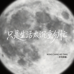 只是生活太沉重匆忙 （原版）