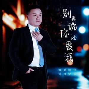 谈伟-MMM-谈伟-别再说你还爱我-DJ伟哥版（谈伟 remix）