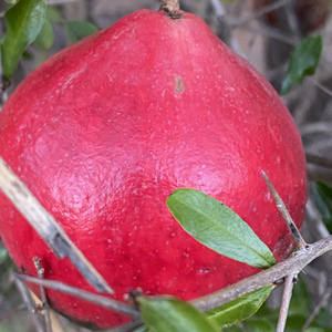 Eyes of the One You Love