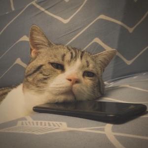 林俊杰-记得（柔情吉他版）（是懋懋呀（李懋） remix）