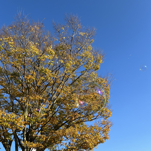 夕暮れ (CHILLOUT mix)