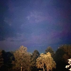 I'm Sorry There's So Much Static