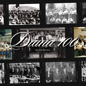 Diana 100