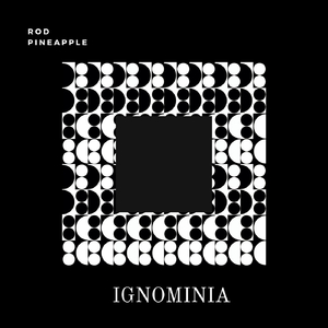 Luz en Tiempos de Apocalipsis