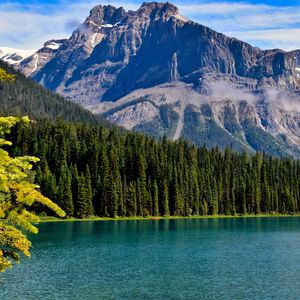 提高写作效率纯音乐