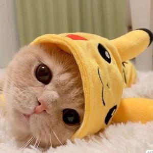 大王叫我来巡山