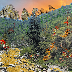 Get in the Car and Go