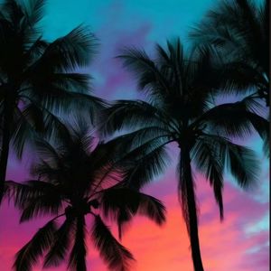 贰陆叁PT.2（Prod By Scorpion）