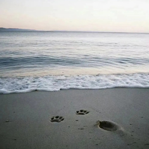 海屿你（这回忆的漩涡）