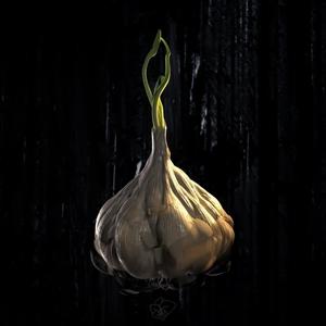 garlic