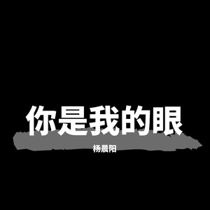你是我的眼