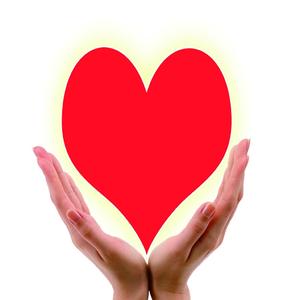 我是一头小江豚