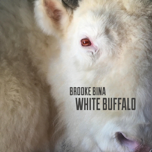 Black Haired Boy (feat. Barton Carroll)