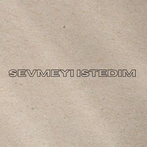 Sevmeyi İstedim