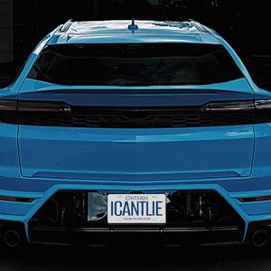 I Can't Lie (feat. AMR)