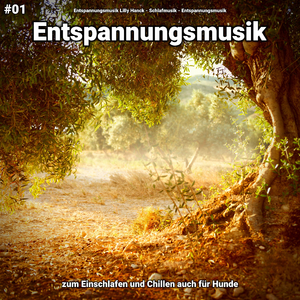 Entspannungsmusik pt. 79