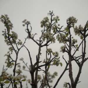 Jodido (pero no tanto)