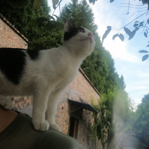 Baby, До свидания