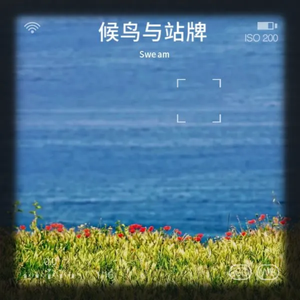候鸟与站牌