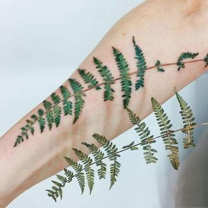 四月是个备胎月