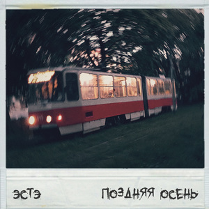 Плешивый кот