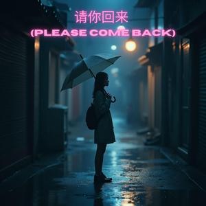 请你回来 (Please Come Back)