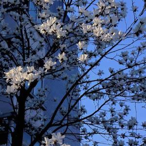 深海回响（0.75x）（小米粥 remix）