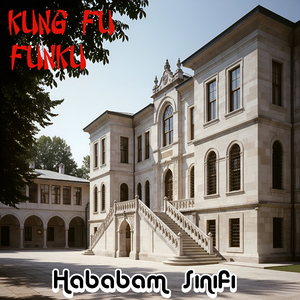 Hababam Sınıfı (Funku)