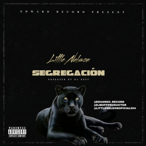 Segregacion