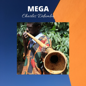 Obwesigwa