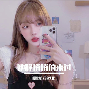 她静悄悄的来过 (DJ版)