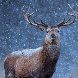 多想在平庸的生活拥抱你