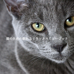 Quartet Jazz Soundtrack for Fun Time with Friends