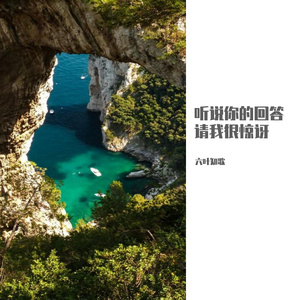 听说你的回答请我很惊讶