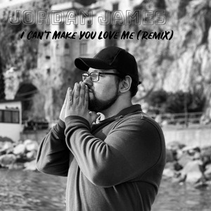 I Can't Make You Love Me (Remix)