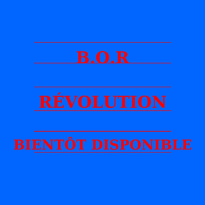 B.O.R- Mr le commissaire (Live)