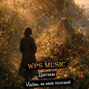 Цветаева - Идёшь, на меня похожий