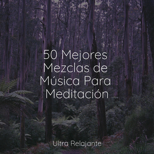 Bendición De La Luna